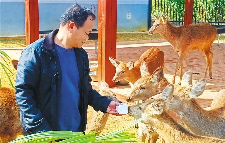 量发展产业调研】林下生金不朽情缘平台推荐【高质(图2)